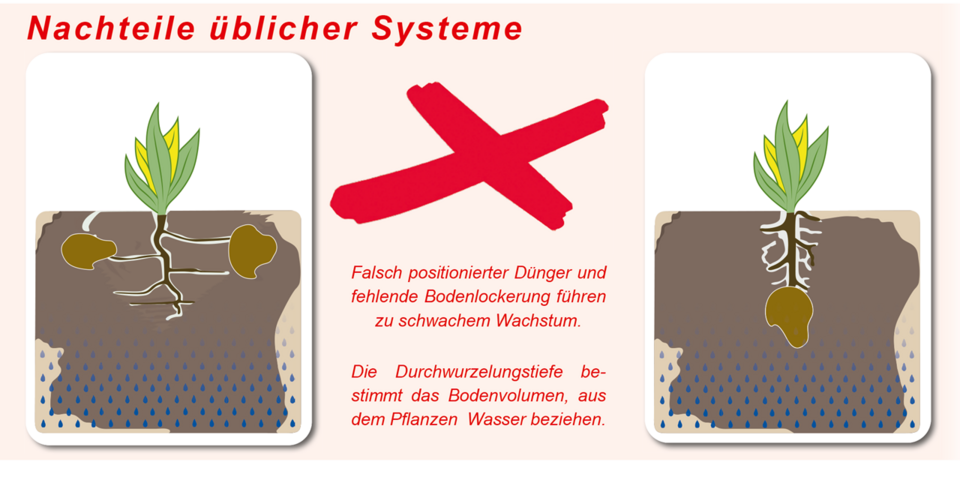 Nachteil falsche Platzierung des Dünger Depot für die Pflanze