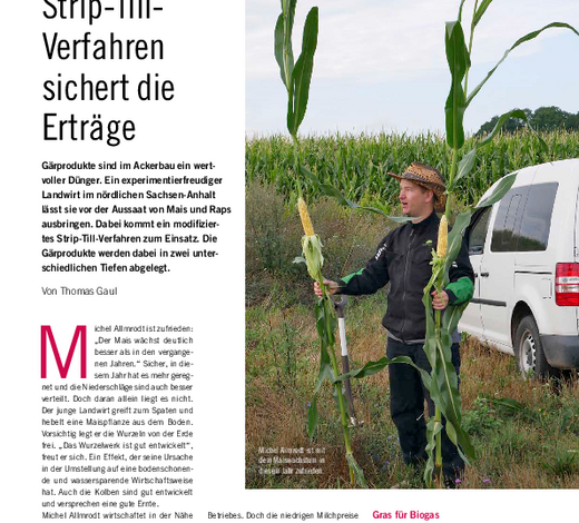 Strip Till Verfahren sichert die Ernte