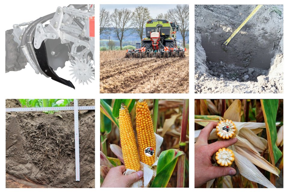 Strip Till CULEX Parabelschar für Ertrag durch geschickte Gülle Platzierung