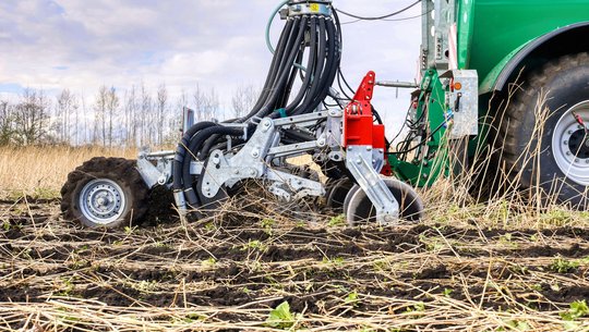 Strip Till nach Senf